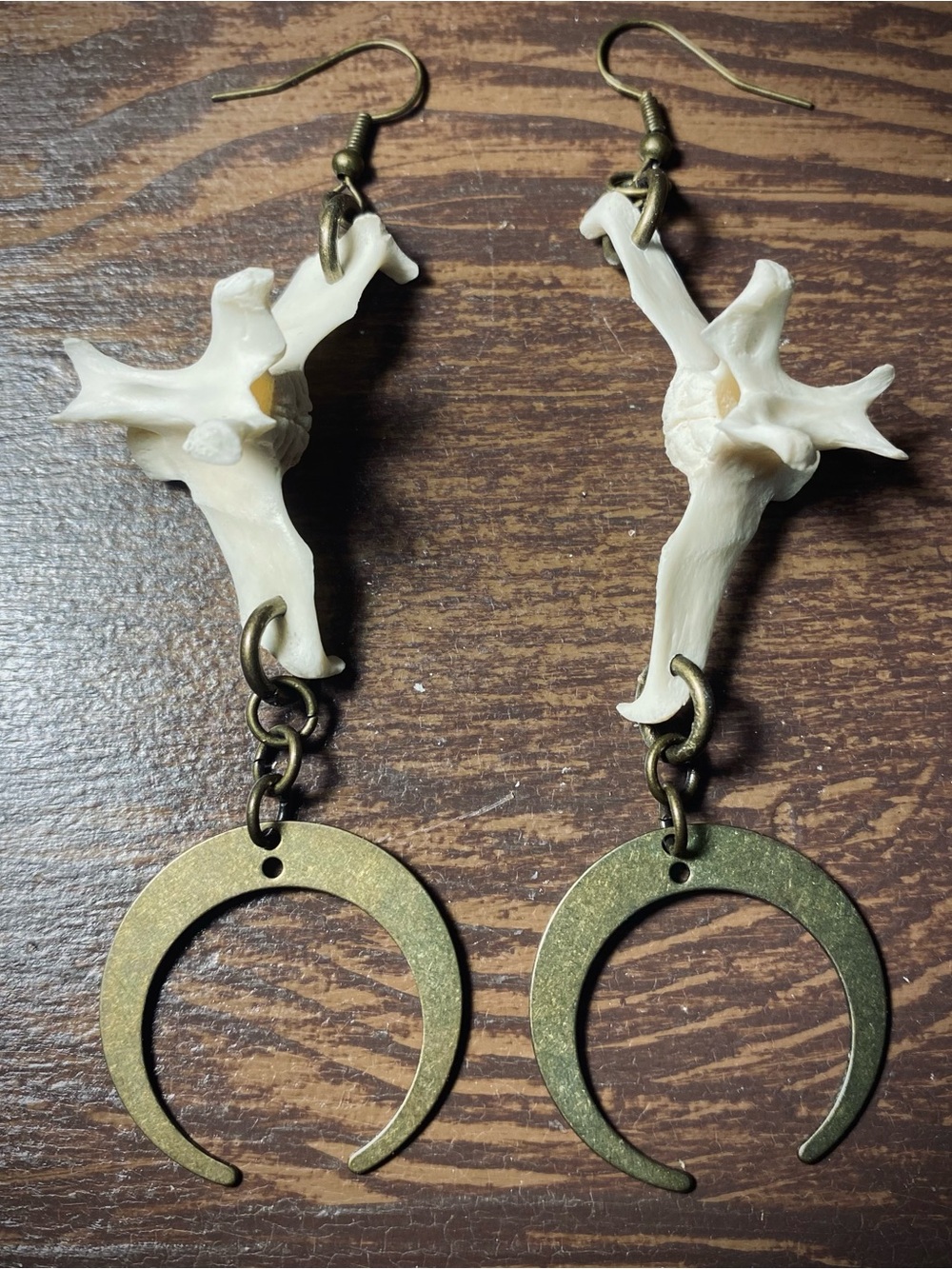 Armadillo Vertebrae Crescent Moon Earrings